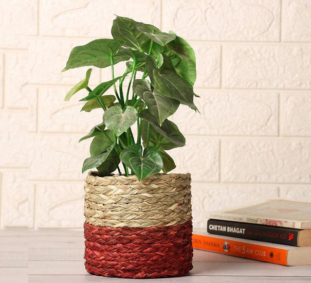 Sabai Grass Planter I Storage Basket I Organiser I Gift Hamper