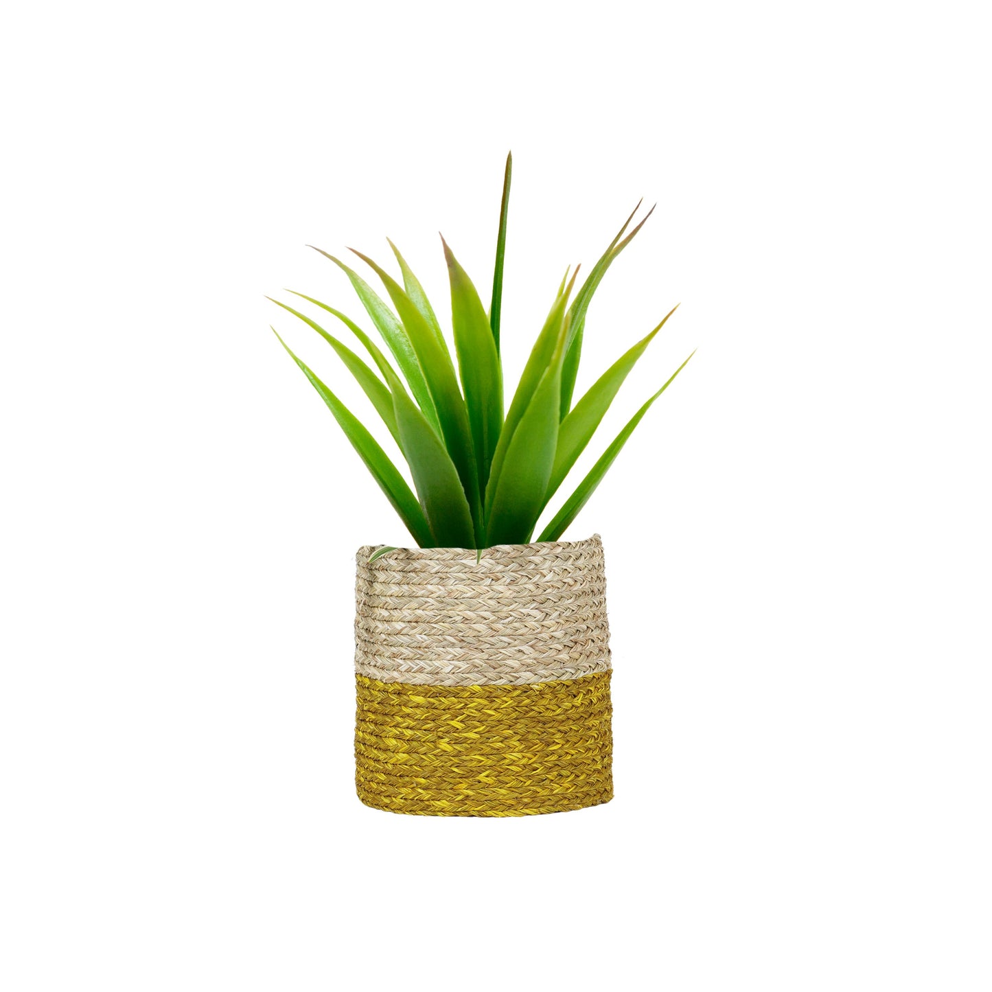 Sabai Grass Planter I Storage Basket I Organiser I Gift Hamper